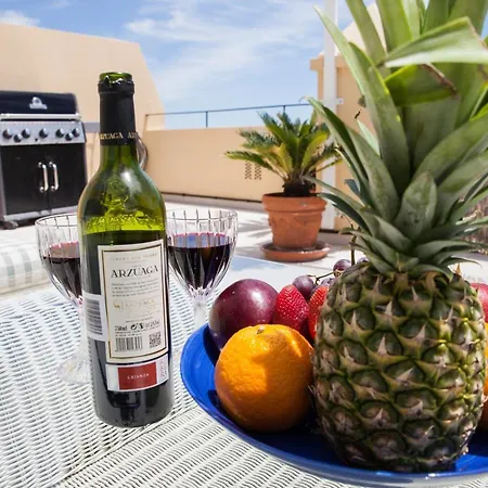Apartment Spacious 200 Sq.m. Penthouse With Sea View Terraces Torremolinos
