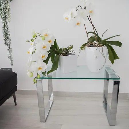 Apartment Spacious 200 Sq.m. Penthouse With Sea View Terraces