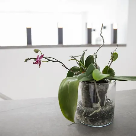 Apartment Spacious 200 Sq.m. Penthouse With Sea View Terraces Torremolinos